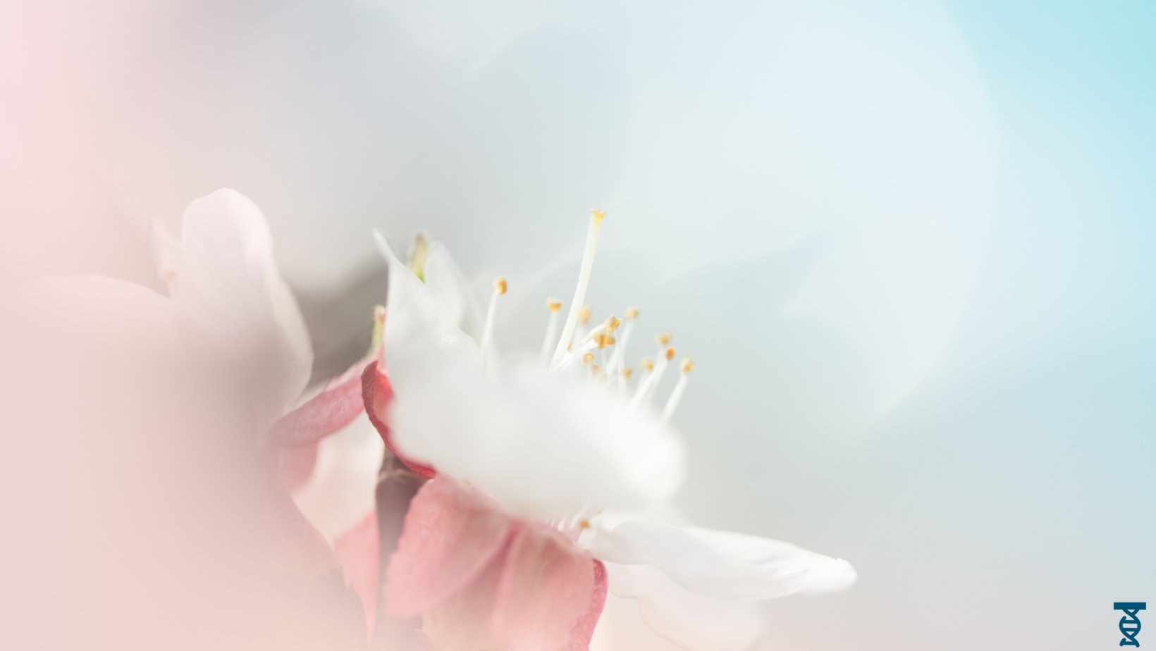 Capelli pelle e unghie