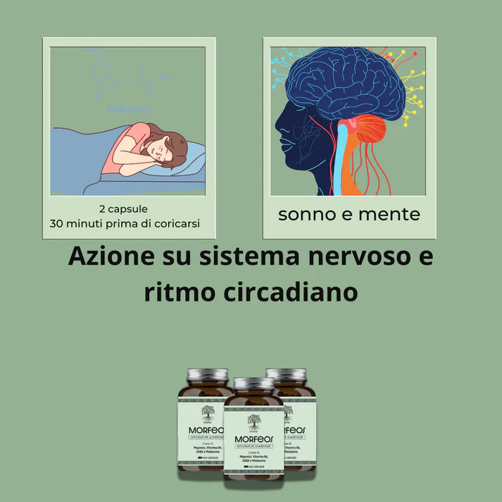 MORFEOS | OLOMA NUTRITION