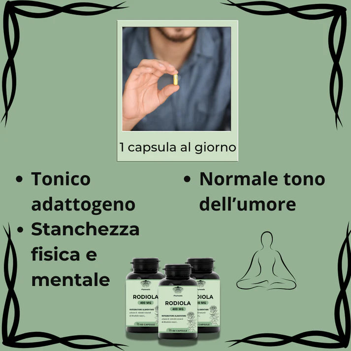 RODIOLA PHYTOSALIS | OLOMA NUTRITION