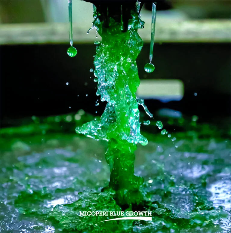 SPIRULINA GEL + VITAMINA C (12 BUSTINE) | MICOPERI