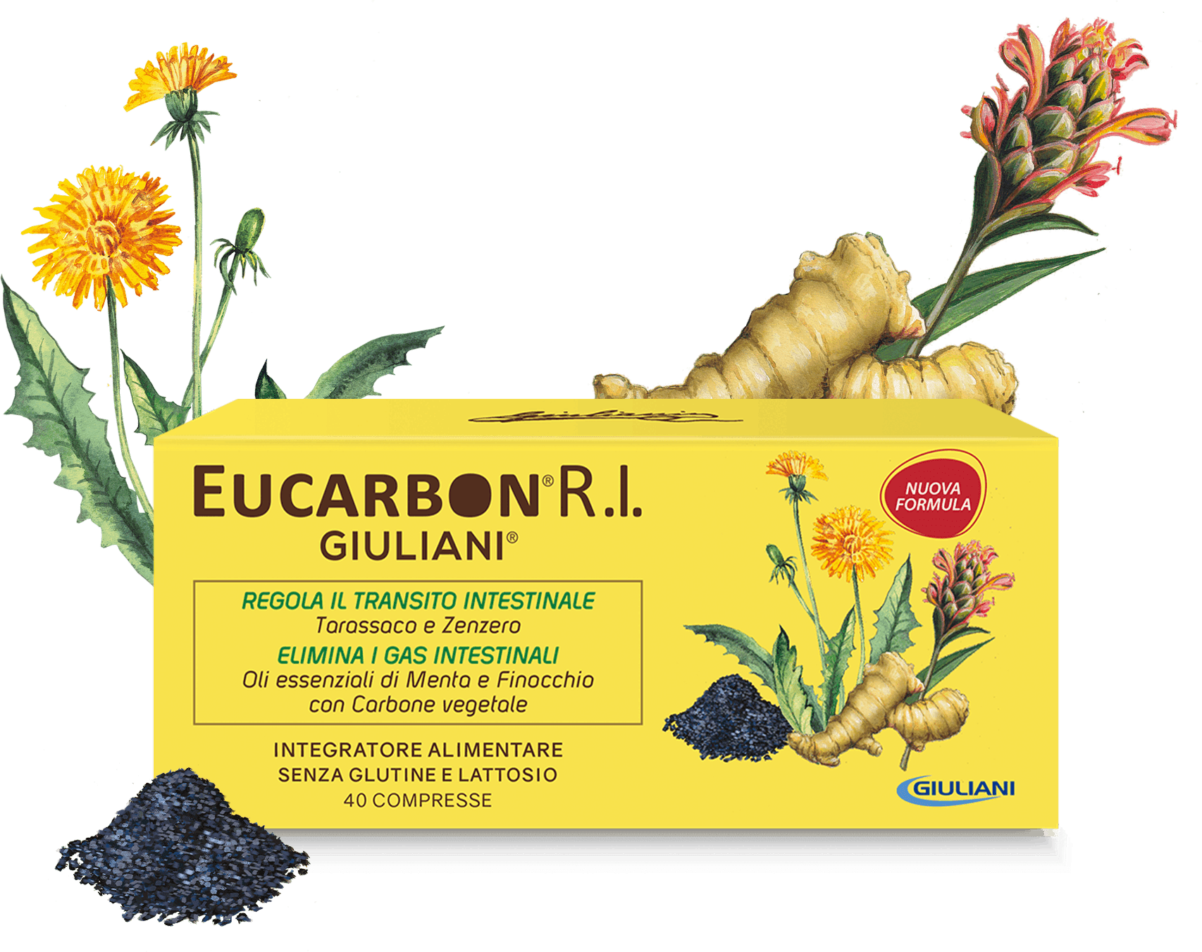 EUCARBON R.I. | GIULIANI