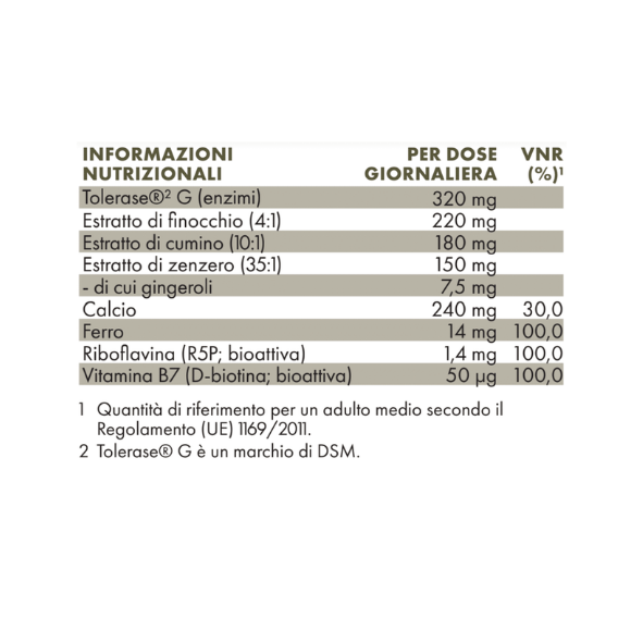 VegZimi Gluten | Zreen