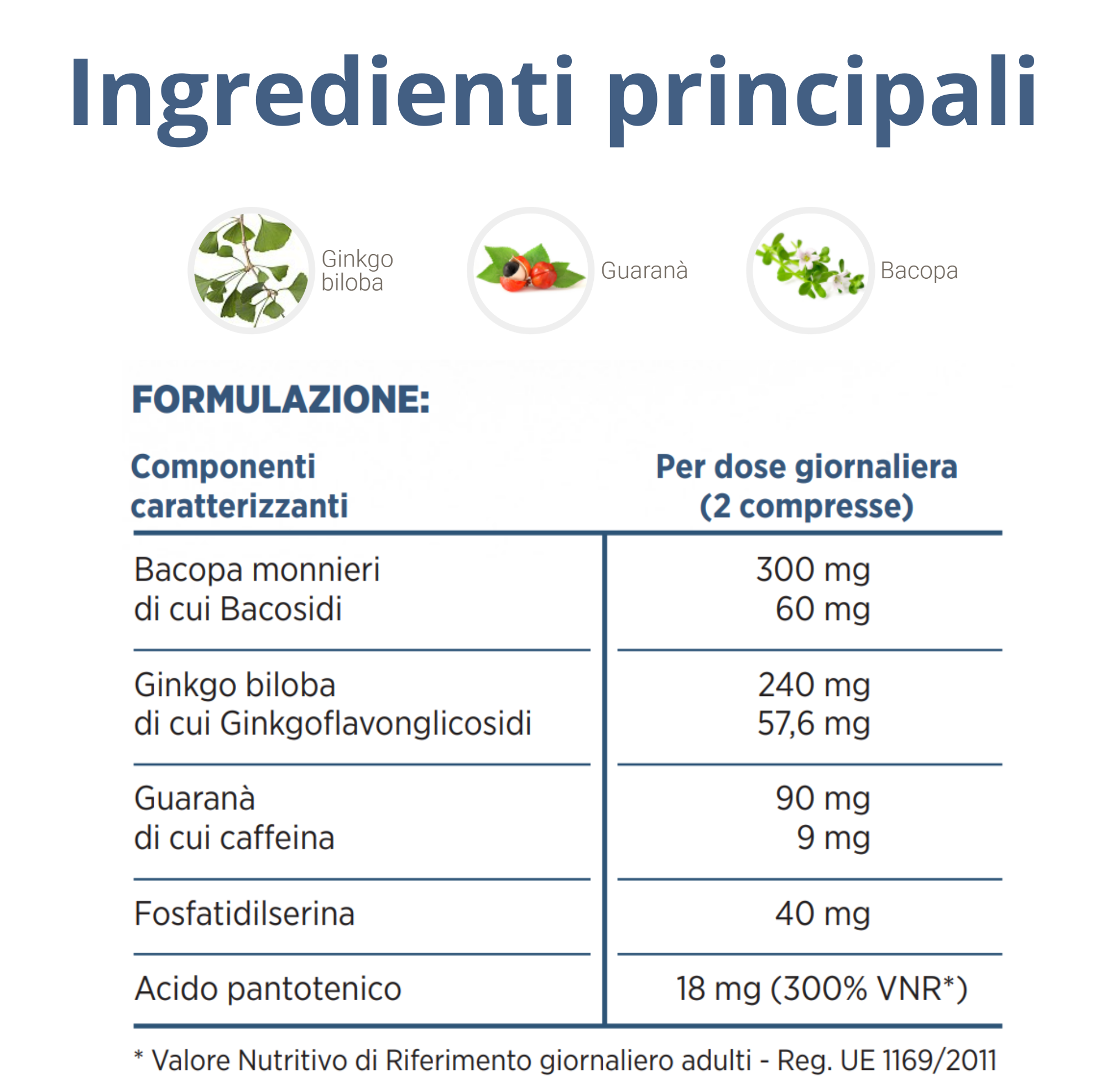 PROSER MEMORY | MEDIPLANT