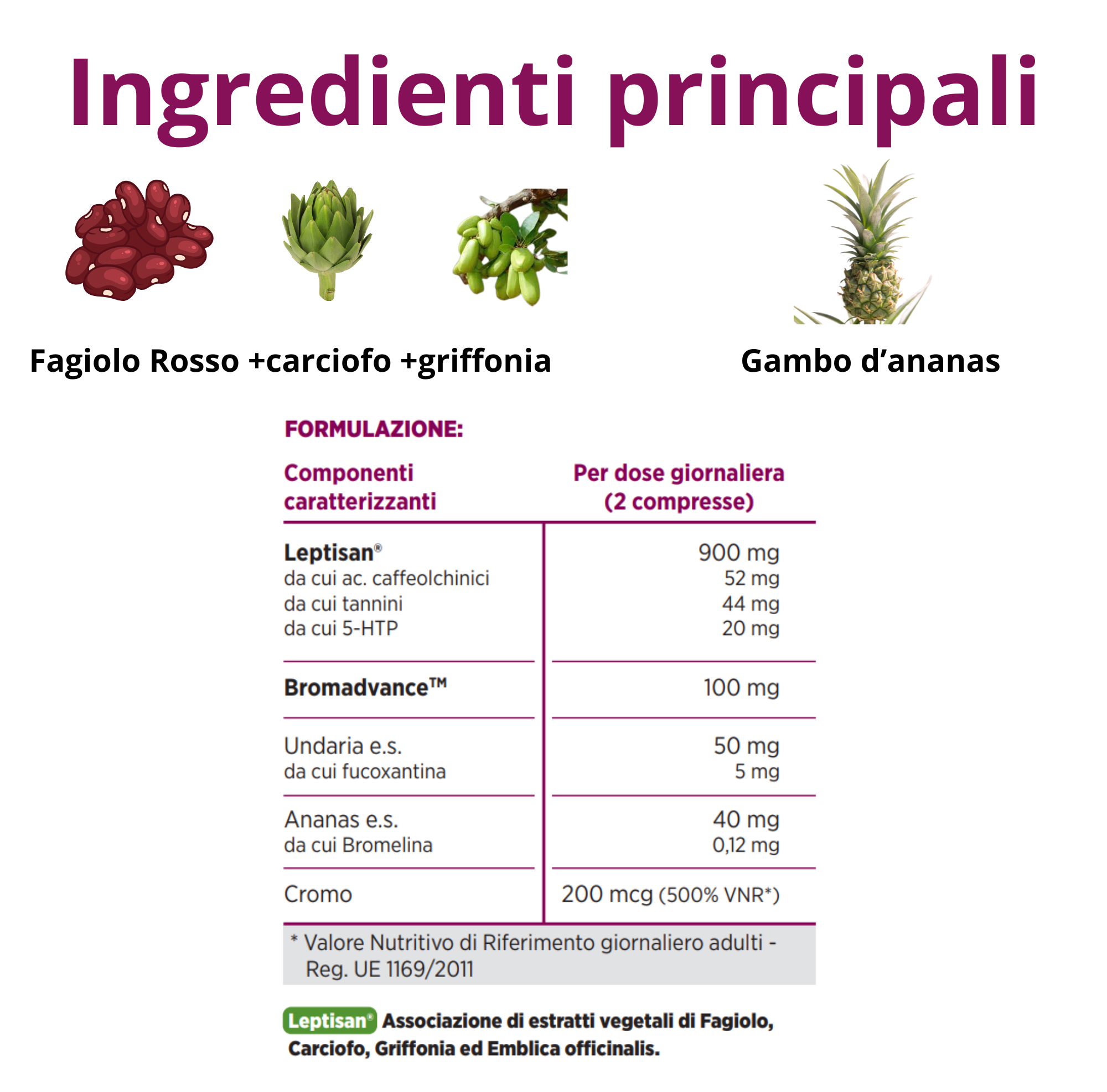 TOTAL BODY CON LEPTISAN | MEDIPLANT