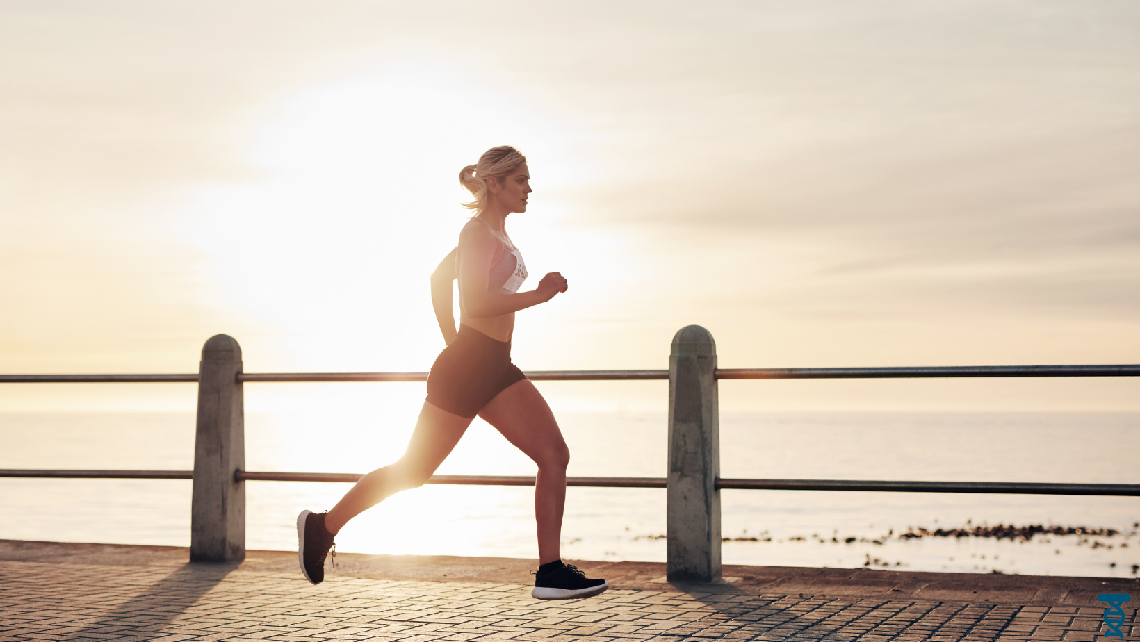 Integratori per lo sport