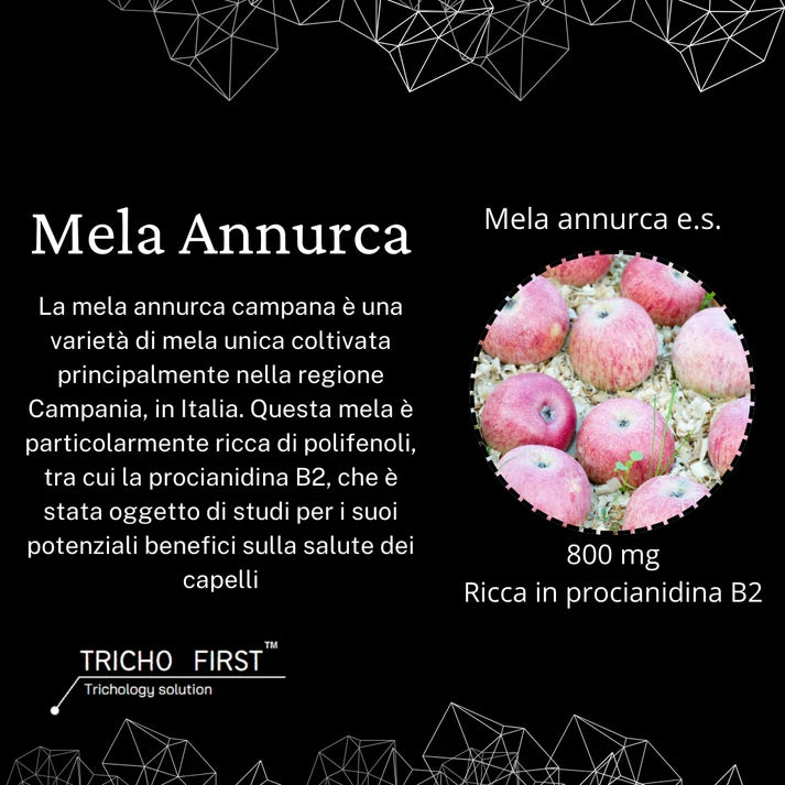 ANNURBULB | OLOMA NUTRITION