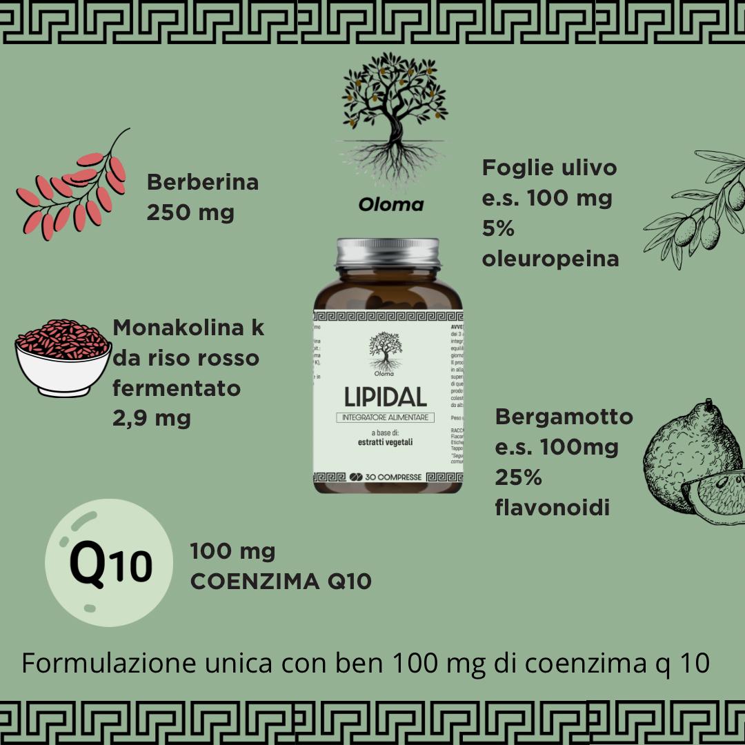 LIPIDAL | OLOMA | integratore per il colesterolo