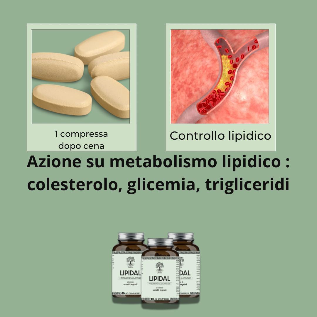 LIPIDAL | OLOMA | integratore per il colesterolo