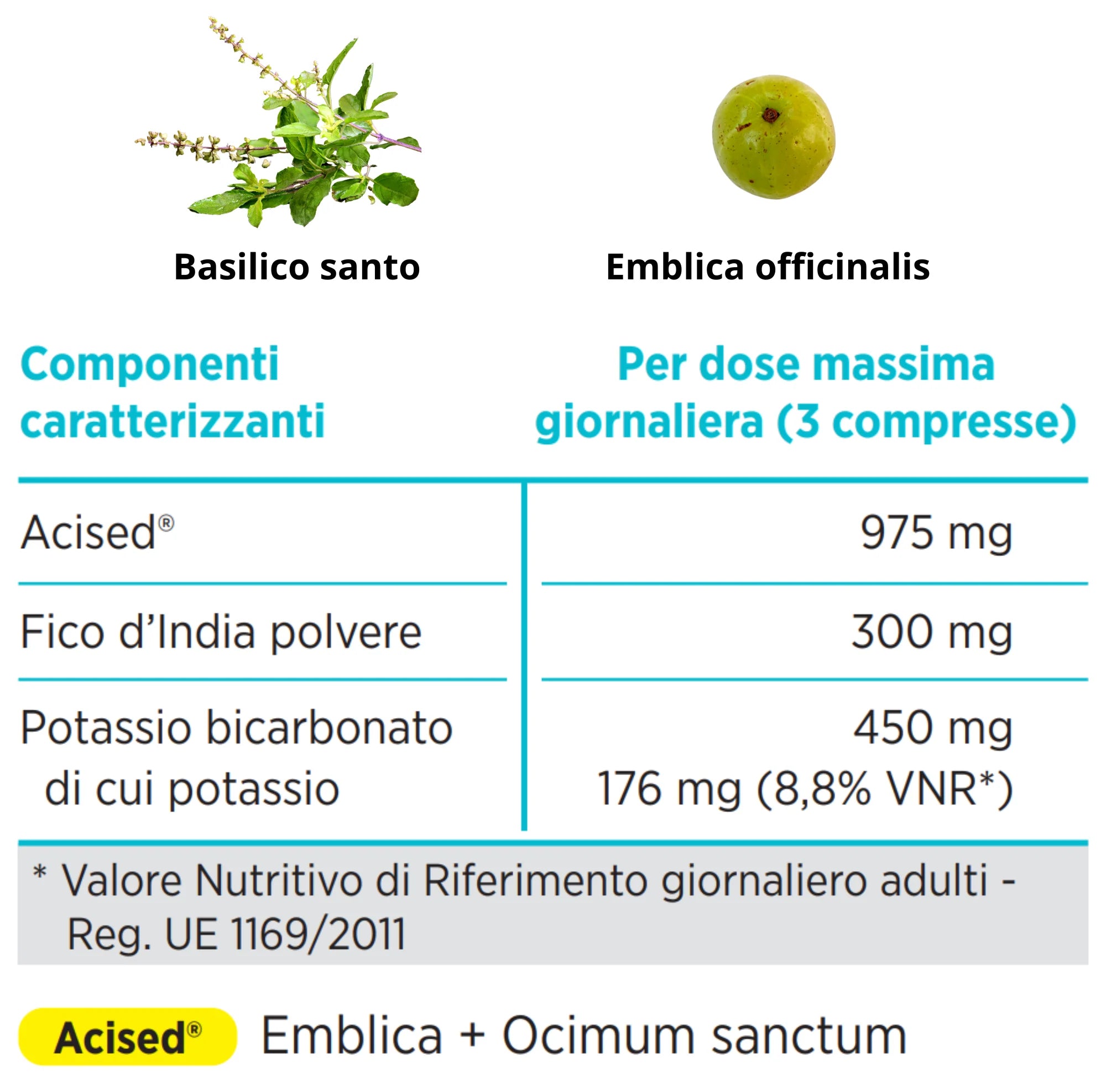 GASTRONORM PLUS con PROCINER | MEDIPLANT